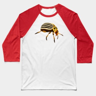 Colorado Potato Beetle Baseball T-Shirt